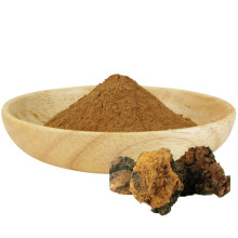 Polysaccharide 30% Chaga Mushroom Extract Powder